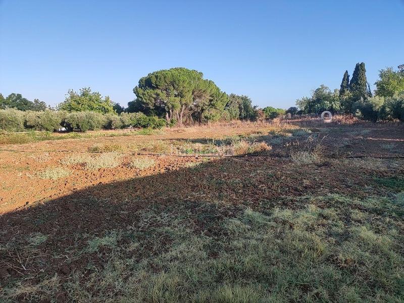 Foto f522927d-eef6-4883-b6e4-887e83e50f97. Wohngrundstück in pedanías de Badajoz Badajoz