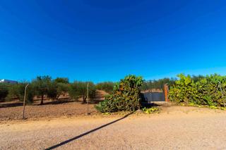 Terreno residenziale in Carretera de Sevilla - Los Montitos. Oportunidad de inversión en badajoz amplia parcela en dehesilla