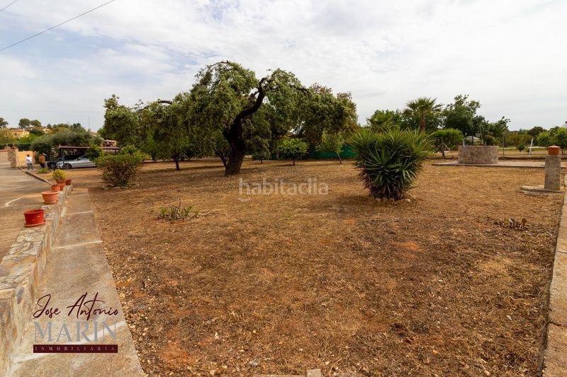 Foto 90708207-6d84-4fe3-9e1f-2ce9e2b9ab31. Casa amb aparcament piscina a Dehesilla de Calamón - Campomanes Badajoz