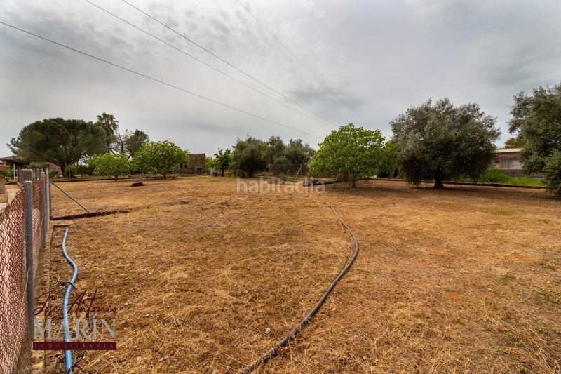 Foto eaa3172f-687b-4281-a1e1-64a9ecab4bca. Casa amb aparcament piscina a Dehesilla de Calamón - Campomanes Badajoz