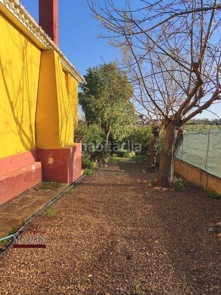 Foto 3774a1b1-5b27-4cbc-a61a-bfd0434b7635. Masia amb aparcament a Oeste Mérida