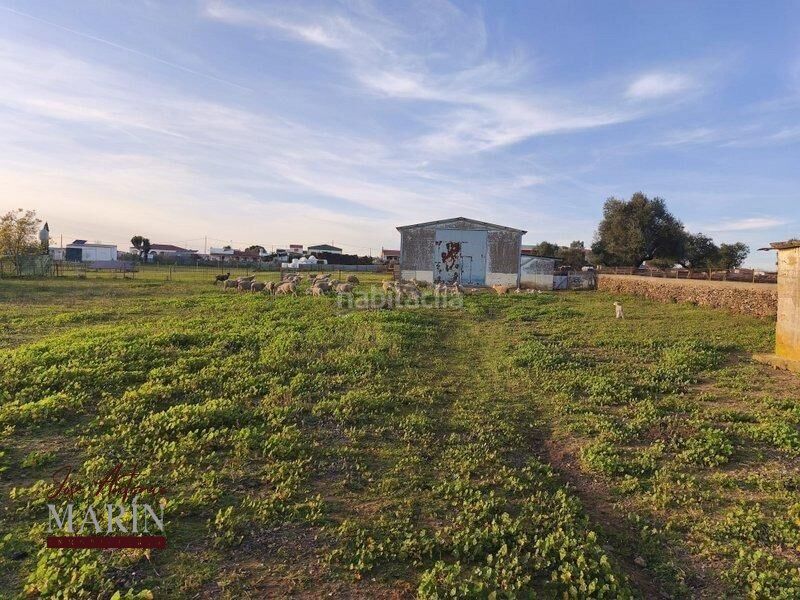 Foto 5eebd144-1621-4b1f-b54c-387effd4c9f7. Masia amb aparcament a Oeste Mérida