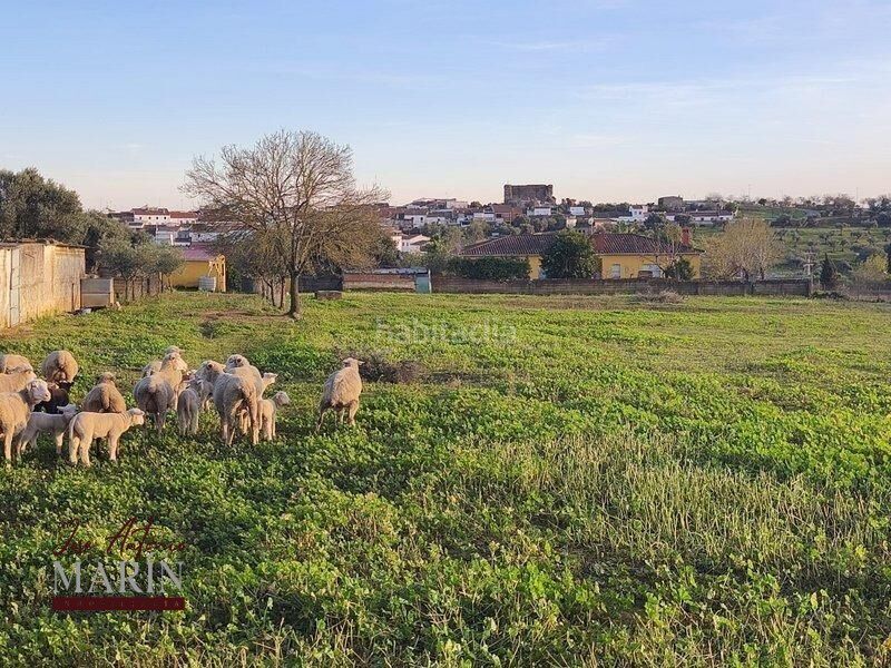 Foto 6e95ce2c-5f91-4f29-9dd9-22031b7ea05a. Masia amb aparcament a Oeste Mérida