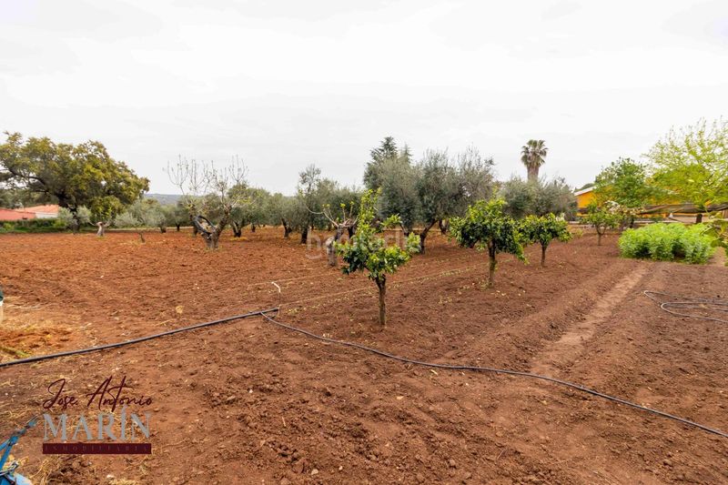 Foto 0c56b505-e19e-49a7-9619-633363517523. Xalet amb aparcament a Dehesilla de Calamón - Campomanes Badajoz