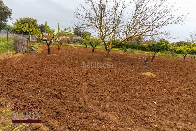 Foto 5ba99af5-1f19-4956-b1e9-68e126c282b2. Xalet amb aparcament a Dehesilla de Calamón - Campomanes Badajoz