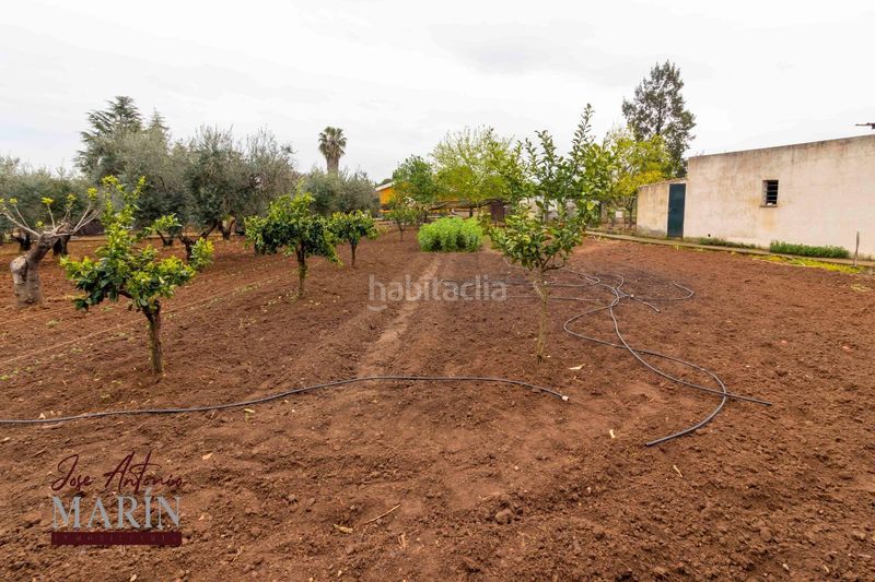 Foto cf4e2887-6690-4d2f-b5ed-efb9c2c623cf. Xalet amb aparcament a Dehesilla de Calamón - Campomanes Badajoz