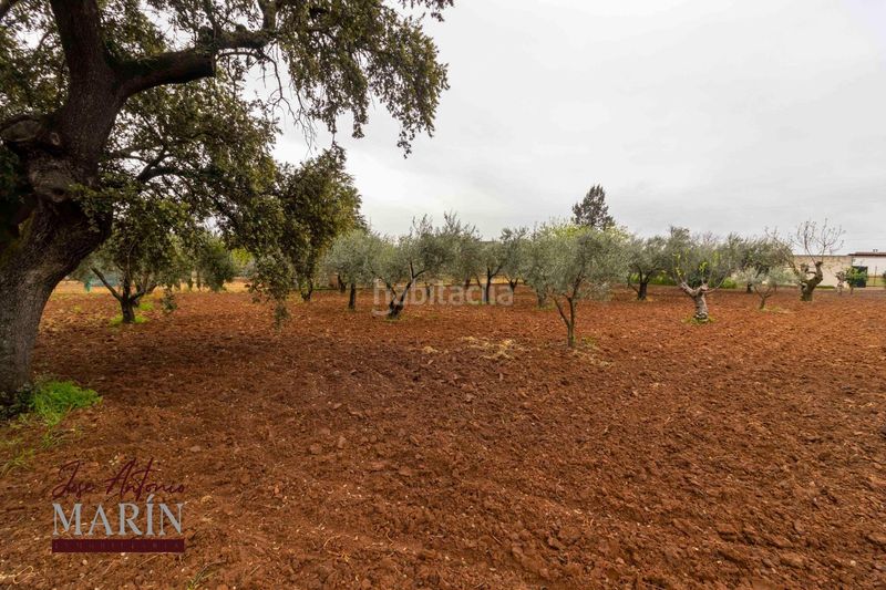 Foto e25a9cd4-56bf-49d0-862f-38c4366db380. Xalet amb aparcament a Dehesilla de Calamón - Campomanes Badajoz