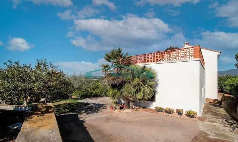 Foto 4e0f29f2-ca1b-4f6a-9f71-389fa85ee4b6. Finca rústica a Casco Urbano Náquera