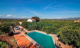 Finca rústica a Casco Urbano. Finca de naranjos y olivos con casa en náquera
