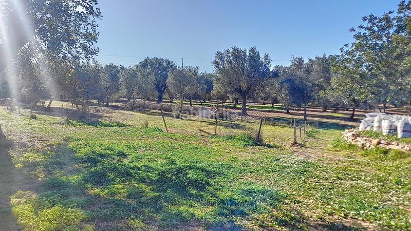 Foto 36027b22-9414-45f5-8092-17fee0687ae1. Mas avec piscine dans Centro Bétera