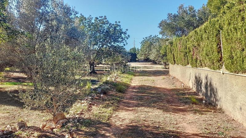 Foto f4e1cf06-b0d0-4bcf-b491-daa4f516cc18. Masía terreno rustico con casa en Centro Bétera