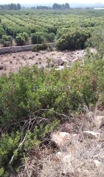 Foto 9dce83d0-b1f2-4fbc-843d-a9ca83a372c2. Wohngrundstück in Montroy