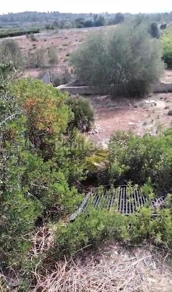 Foto bc48110f-8e9a-4064-bd14-b07880a503d5. Wohngrundstück in Montroy