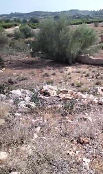 Foto cf90880c-0b0d-4a5c-9ca9-de769e614ca2. Wohngrundstück in Montroy