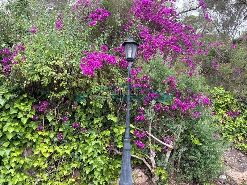 Foto d0239c4d-55b8-43ef-8feb-6fa8ff581ddf. Xalet amb calefacció piscina a Gilet