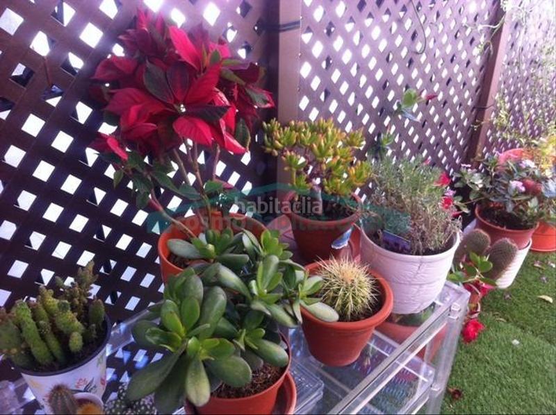 Foto a23c6154-ec79-447d-8095-a8a480fa457d. Àtic a Russafa Valencia