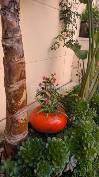 Foto c83cff1a-e075-42b3-914c-61c8fe9b1972. Appartement avec chauffage parking piscine dans Bulevar-Puerta Mítica Vila Joiosa (la)