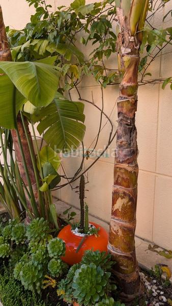 Foto e5a35c56-4a53-494d-aab6-056fb2bcab53. Appartement avec chauffage parking piscine dans Bulevar-Puerta Mítica Vila Joiosa (la)