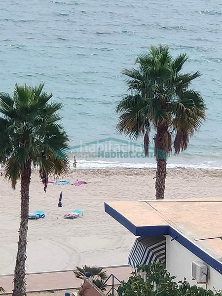 Foto 22b70819-a5ed-4d08-9436-8bf13069ad8e. Apartament amb piscina a Platja de Vila Joiosa Vila Joiosa (la)