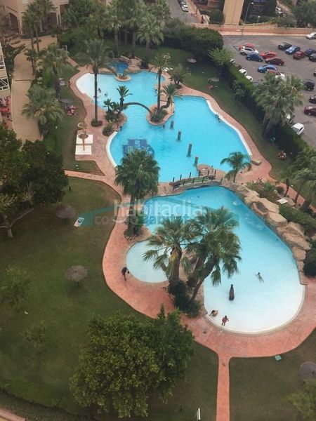 Foto 25e5e553-8439-4663-9ac1-4a409696a9af. Apartament amb piscina a Playa Muchavista Campello (el)