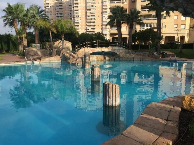 Foto 2ec4f9d3-d2be-4ce5-af4d-403c3a712791. Apartament amb piscina a Playa Muchavista Campello (el)