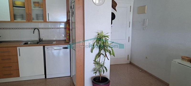 Foto 66f74f56-78e9-486f-b7ce-57cc6b7a5ce1. Apartament amb piscina a Playa Muchavista Campello (el)