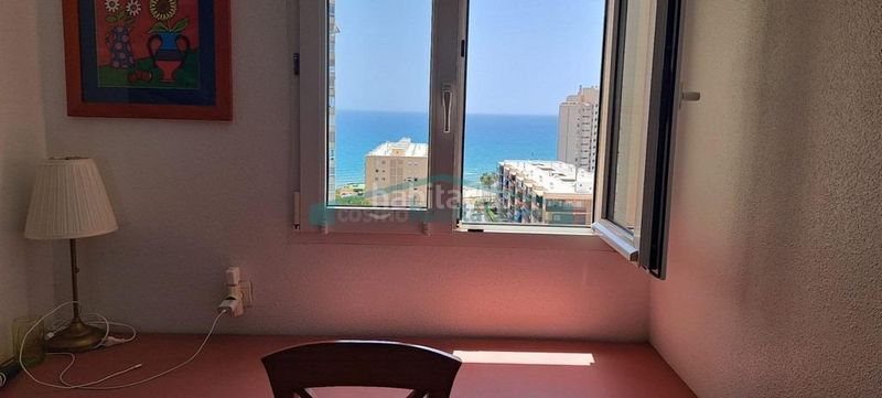 Foto 849d693b-ff8e-4aca-8d60-ab135dfc7af7. Apartament amb piscina a Playa Muchavista Campello (el)