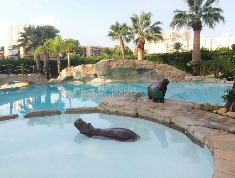 Foto a1bbe25e-98b5-4822-abaf-4d62299ceb34. Apartament amb piscina a Playa Muchavista Campello (el)