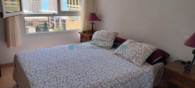 Foto c18349ac-2807-41c3-bc66-0598a25e03be. Apartament amb piscina a Playa Muchavista Campello (el)
