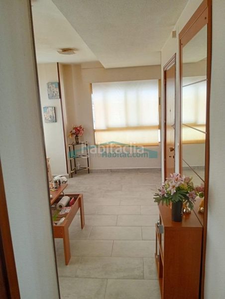 Foto 0b310141-3207-4b19-b059-d669a535b227. Pis a Colonia Madrid Benidorm