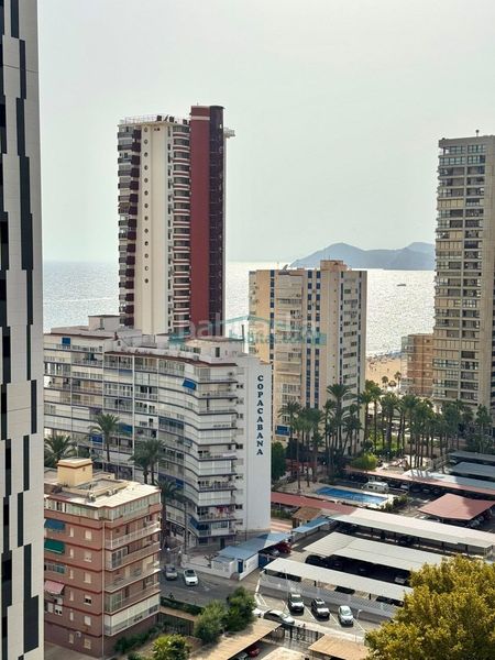 Foto 7847f822-2162-491e-ba43-b90d2b5ba2ec. Apartament amb aparcament piscina a Playa Levante Benidorm