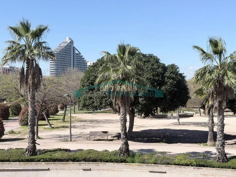 Foto 07fd7a93-f9fd-4e5d-a449-9cfd14a64e2f. Pis a Nou Moles Valencia