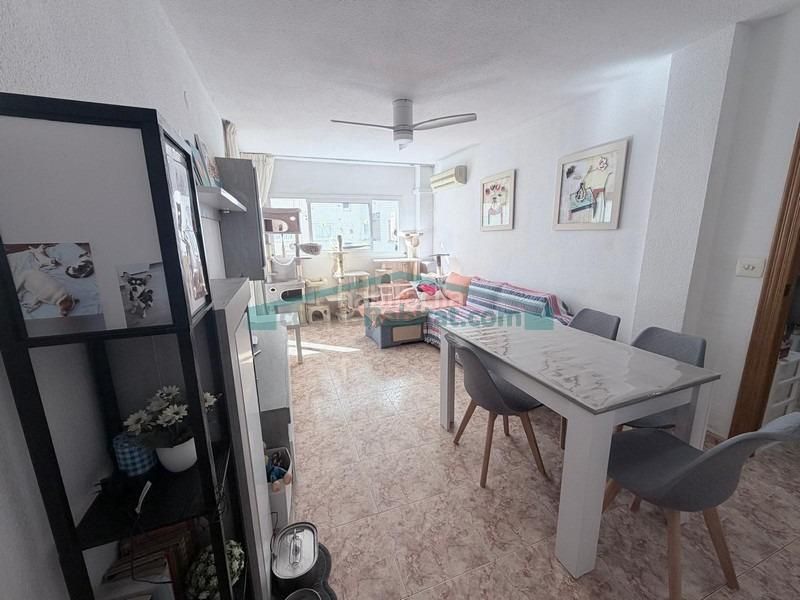 Foto 727db96f-7c04-4734-9d44-4ccc5f81b837. Pis a Nou Moles Valencia