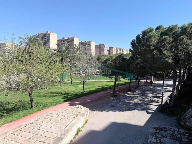 Foto 8426d558-f818-4563-96ce-682a6cd83b24. Pis a Nou Moles Valencia