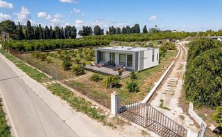 Finca rústica a Corbera. Terreno agrícola en venta  13.013 m2 con cultivo de naranjos en
