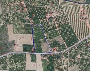 Landgut in Corbera. Terreno agrícola en venta  13.013 m2 con cultivo de naranjos en