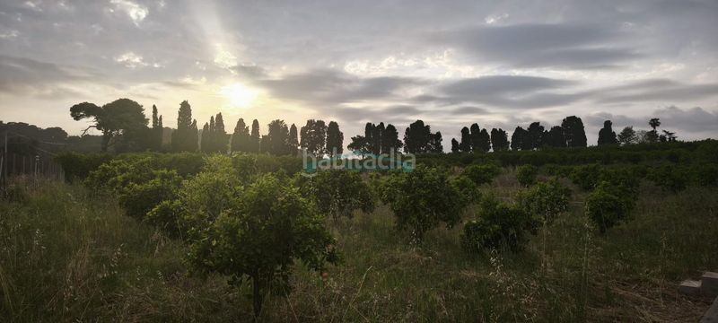Foto 575cba19-d04d-4b34-96b6-b61d456124e8. Finca rústica a Corbera