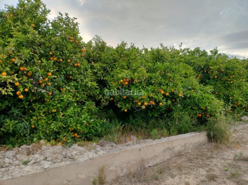 Foto a1ee42bc-ea34-416a-9910-e289473ee926. Finca rústica a Corbera
