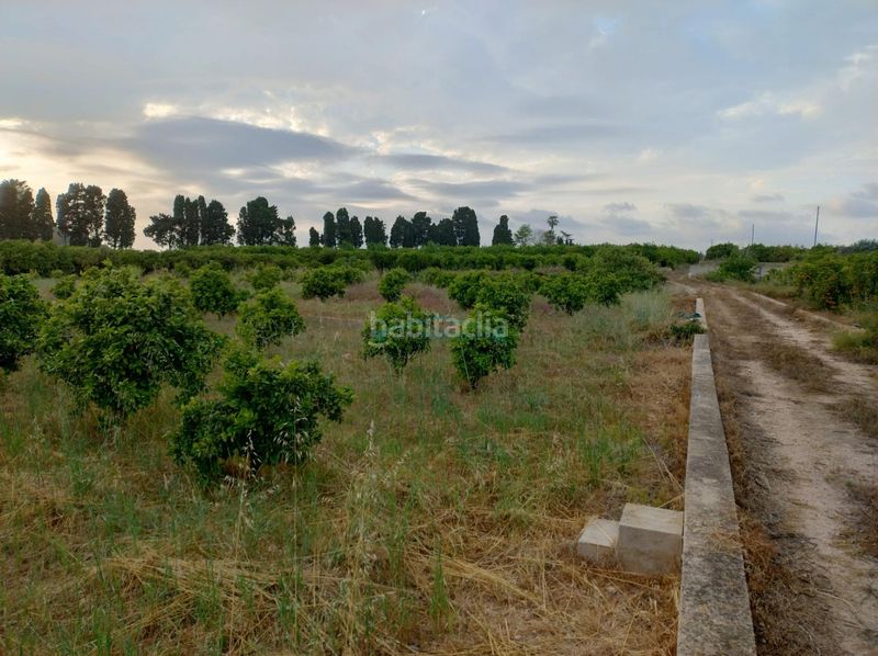 Foto b26b0b7b-1e30-44ad-9100-d9a8ac5eeff2. Finca rústica a Corbera