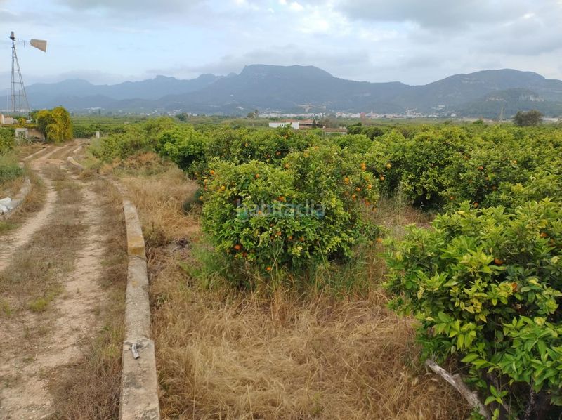Foto bd68a82b-0ac4-46c3-ad3d-904b75932022. Finca rústica a Corbera