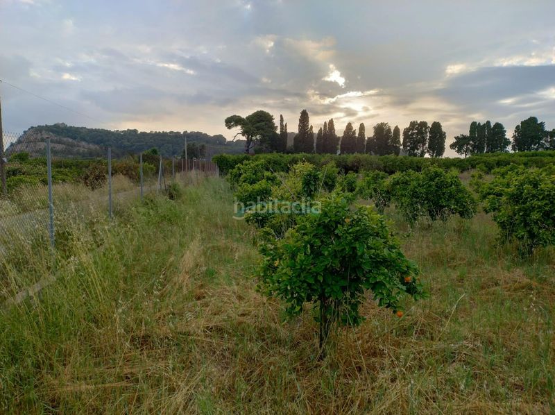 Foto cf63765f-7639-4157-822e-d733d58c9b86. Finca rústica a Corbera