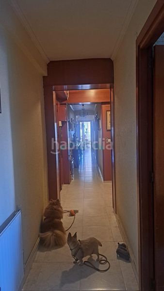 Foto 3f82ec13-a384-4933-8d04-27e7b53e2a8b. Àtic a Centro Urbano Benidorm