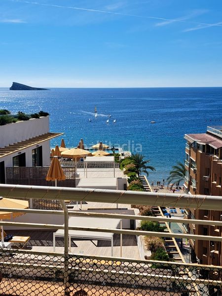 Foto e6add8f9-b0db-49b6-890f-16d55f3093ee. Àtic a Centro Urbano Benidorm
