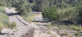 Rural plot in Cocentaina. Terreno rústico de 23.055 m2 en cocentaina