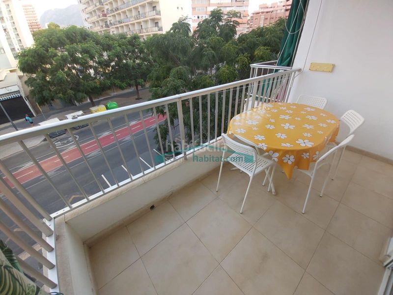 Foto 20bce48b-a426-4956-b06a-d4ce6af1c638. Pis a Centro Urbano Benidorm
