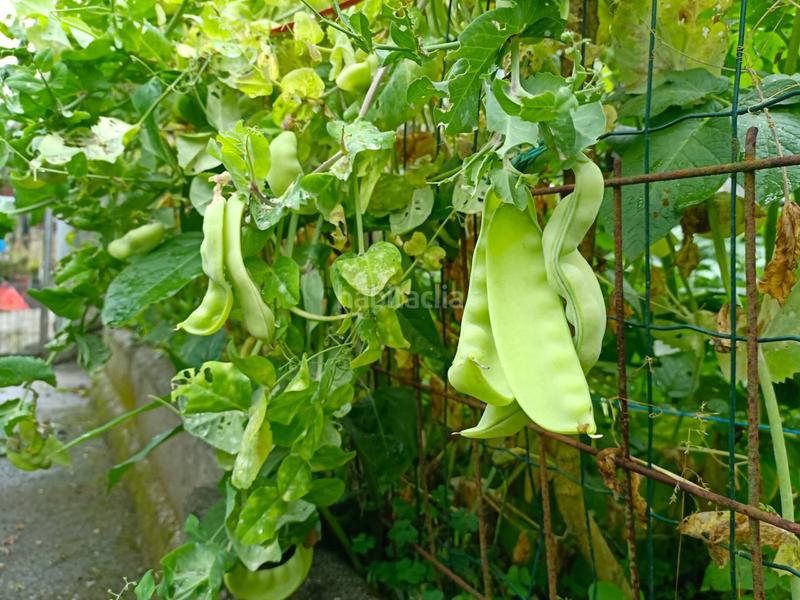 Foto 49de954d-60af-4799-8b88-a40af8eb8492. Maison dans Área Rural Ferrol