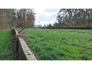 Propriété  Pena chá, taboada. Finca rústica en monfero