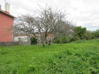 Residential Plot in Fene