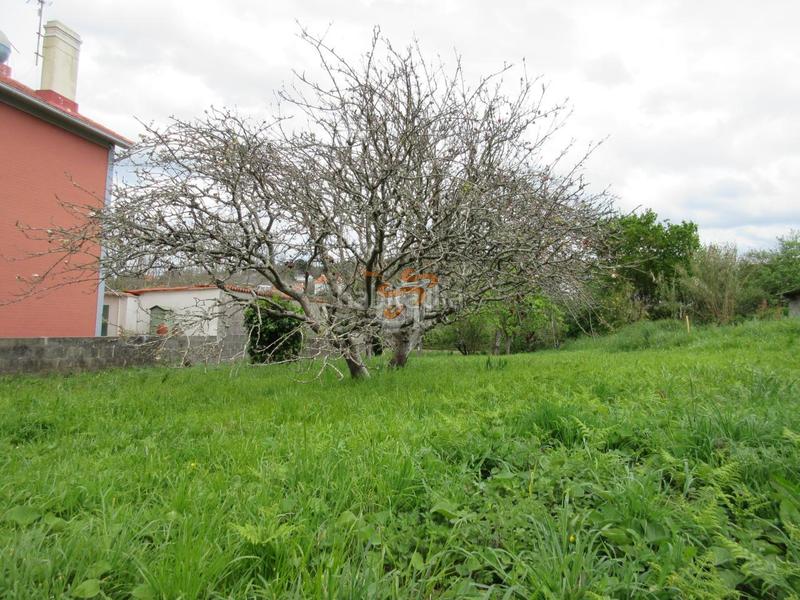 Foto cc1c60da-7dc0-4a86-9a03-c0962fb0278b. Residential plot in Fene