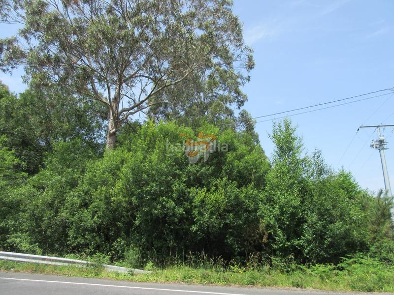 Foto b93c1995-ad3a-413f-866b-a10a58995f7c. Terreno residencial en Valdoviño